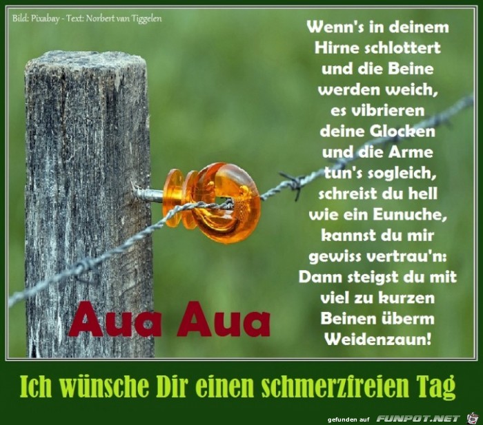 Aua Aua Aua Aua