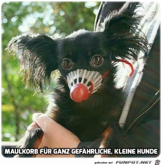 Maulkorb Maulkorb