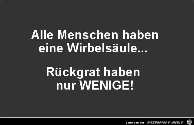 alle Menschen haben eine Wirbelsäule....... alle Menschen haben eine Wirbelsäule.......