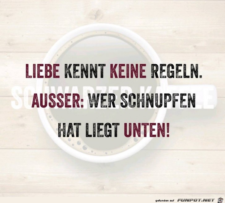Keine Regeln außer einer Keine Regeln außer einer