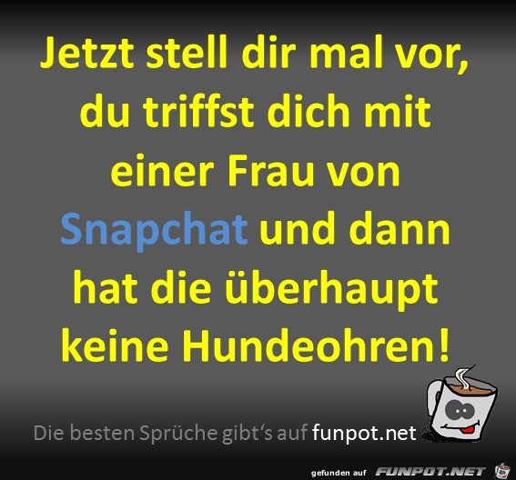 Hundeohren Hundeohren