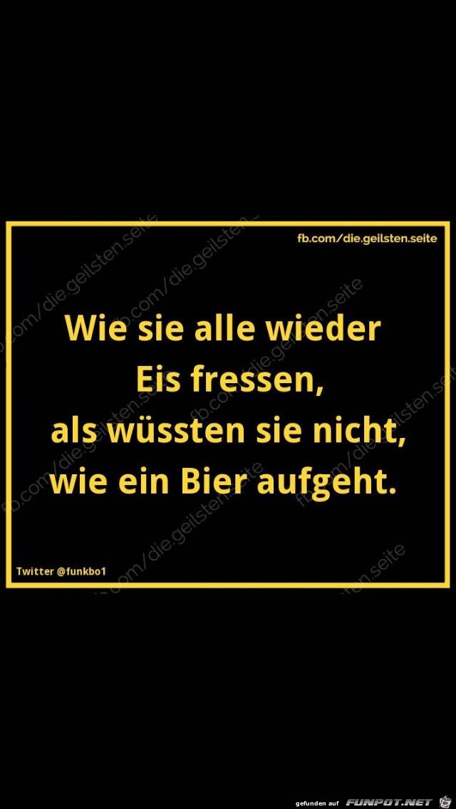 Immer nur Eis