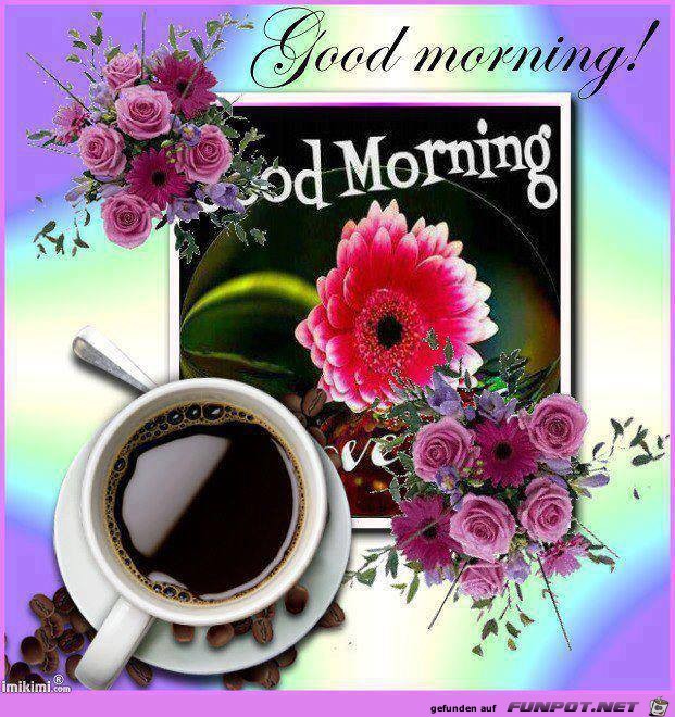 Good Morning Good Morning