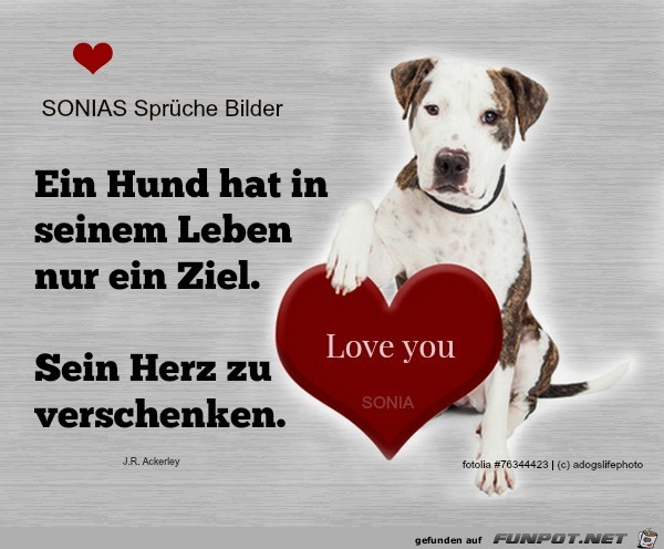 Nur ein Ziel Nur ein Ziel