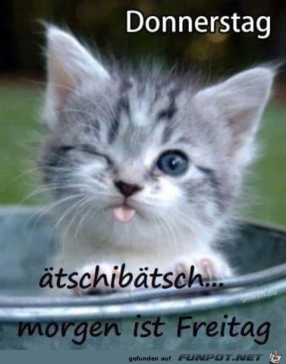 Morgen ist Freitag Morgen ist Freitag