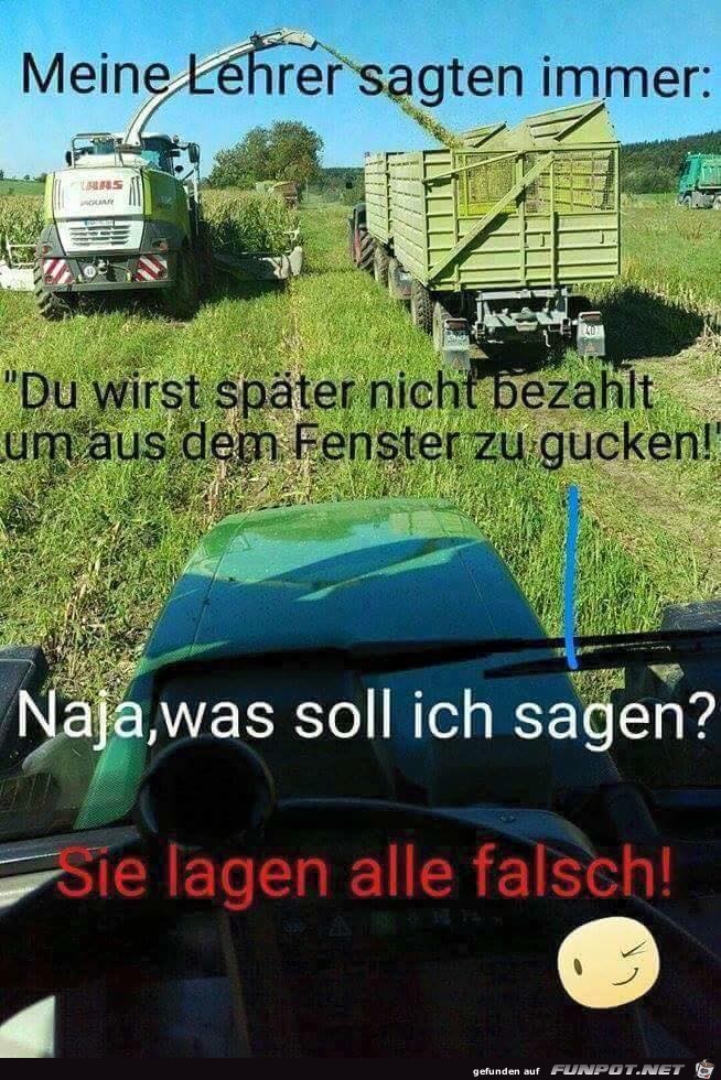 Meine Lehrer Meine Lehrer