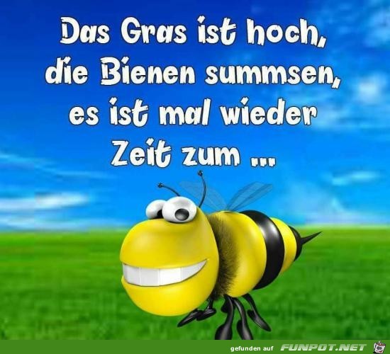 Die Bienen sumsen