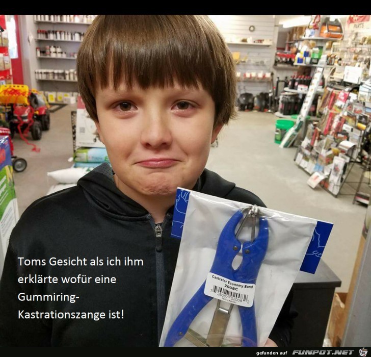 Kastrationszange Kastrationszange