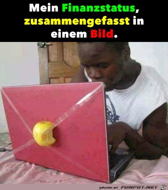 Mein Finanzstatus Mein Finanzstatus