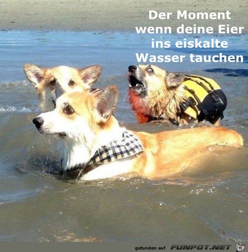 Moment Moment
