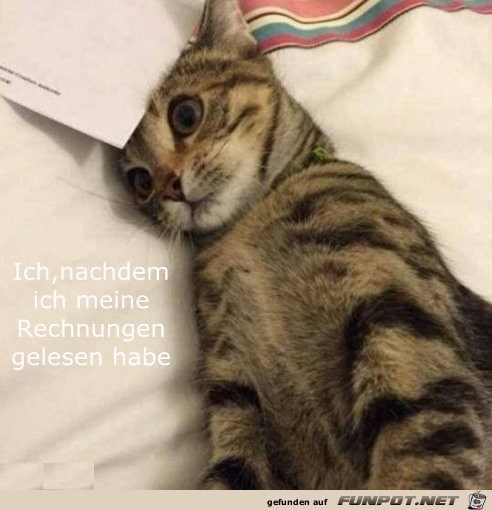 Rechnung Rechnung