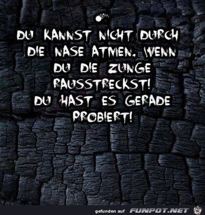 Probier es aus Probier es aus
