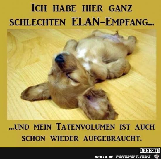schlechter Empfang...... schlechter Empfang......
