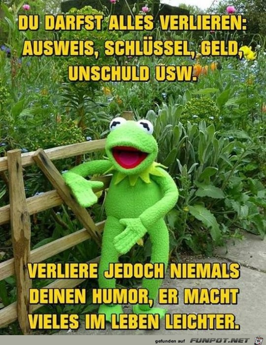 du darfst alles verlieren,.......