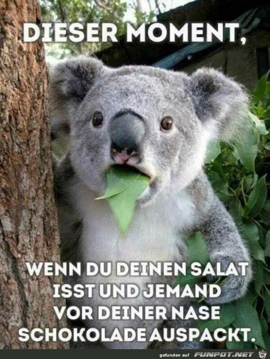 Dieser Moment,