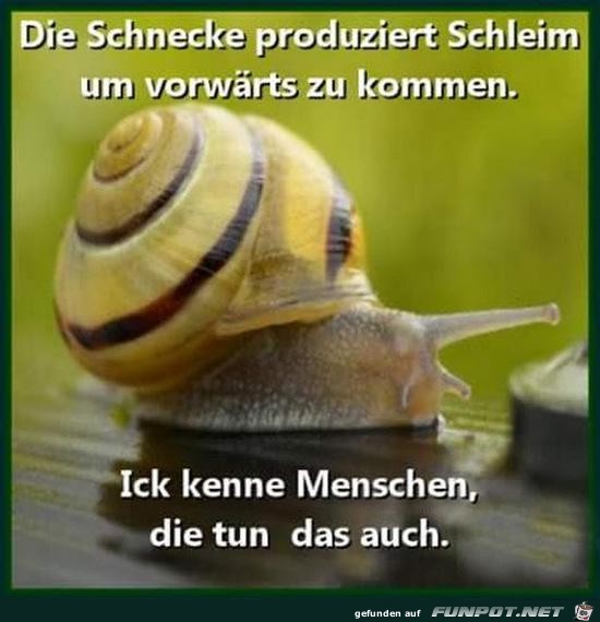 die Schnecke produziert Schleim.......