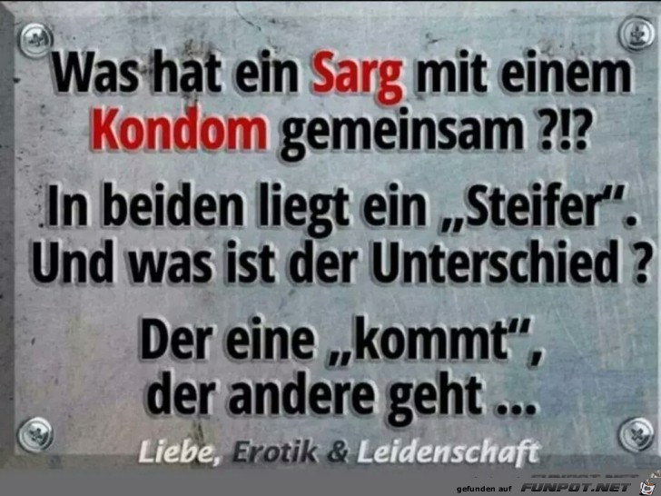 Gemeinsamkeiten Gemeinsamkeiten