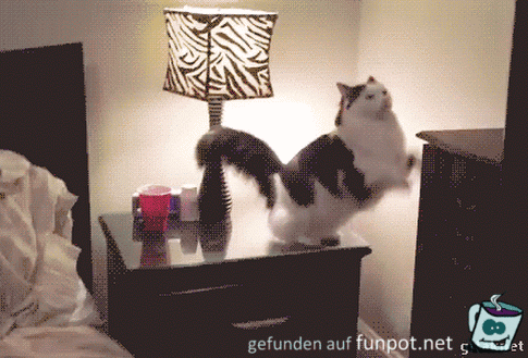 Ab ins Bettchen Ab ins Bettchen