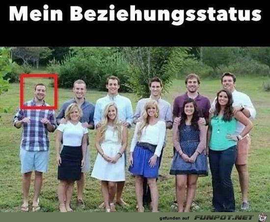 Wie blöd Wie blöd