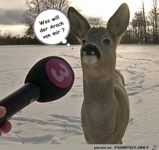 Gute Frage Gute Frage