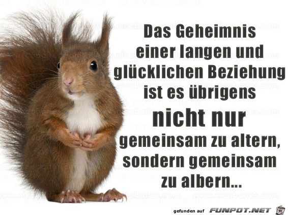 Das Geheimnis