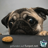 Her damit Her damit