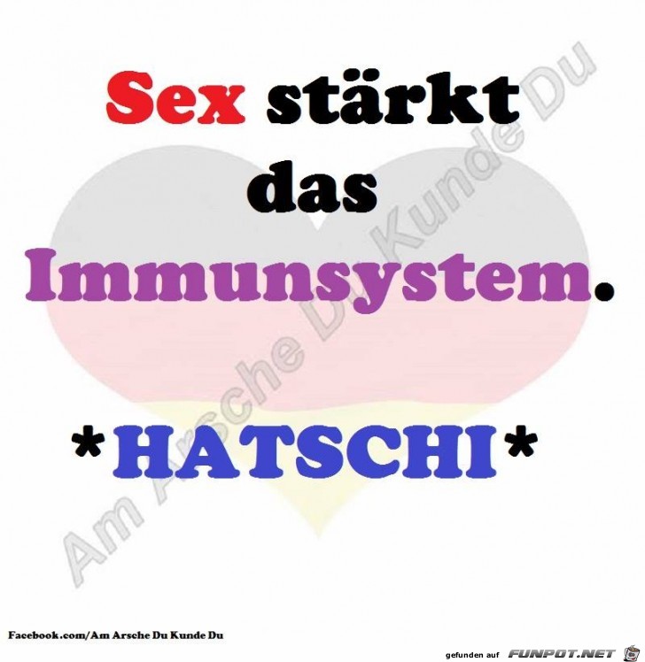 Was dem Imunsystem hilft