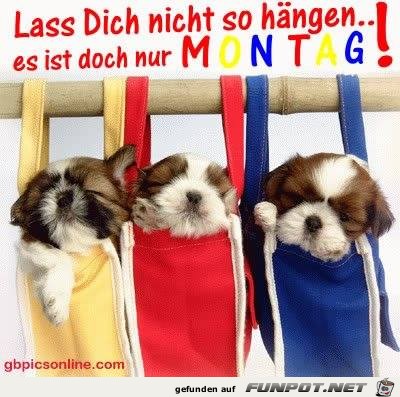 Lass dich nicht so haengen