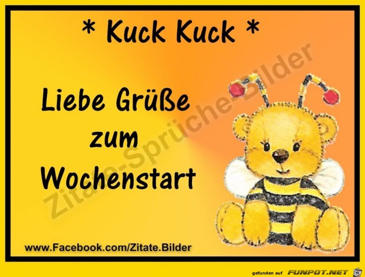 Kuck Kuck Kuck Kuck