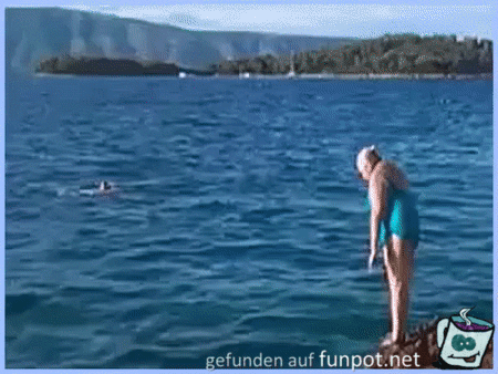 Bauchpflatscher Bauchpflatscher