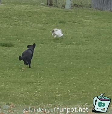 Klasse Sprung Klasse Sprung