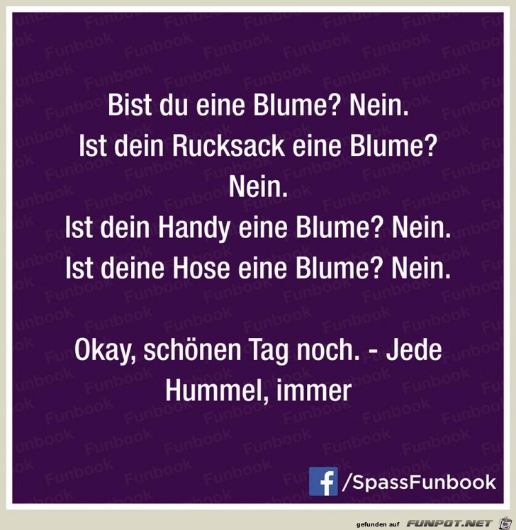 Blume Blume
