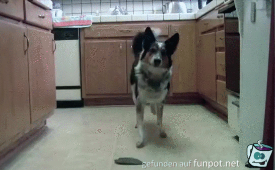 Handstand Handstand