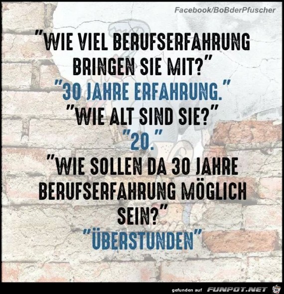 Berufserfahrung Berufserfahrung