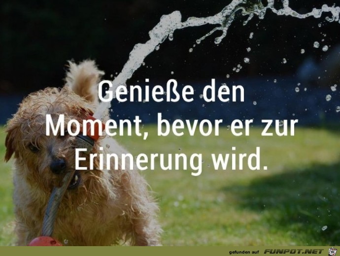 Geniesse den Moment Geniesse den Moment