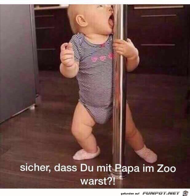 Mit Papa im Zoo Mit Papa im Zoo