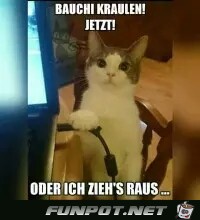 Bauch kraulen ! Bauch kraulen !
