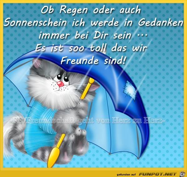 Ob Regen oder Sonnenschein Ob Regen oder Sonnenschein