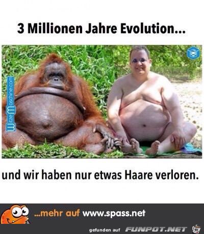 Evolution Evolution
