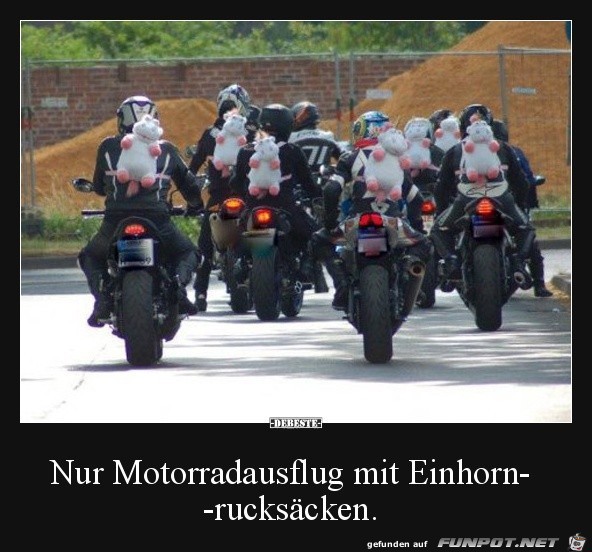 Spezieller Ausflug Spezieller Ausflug