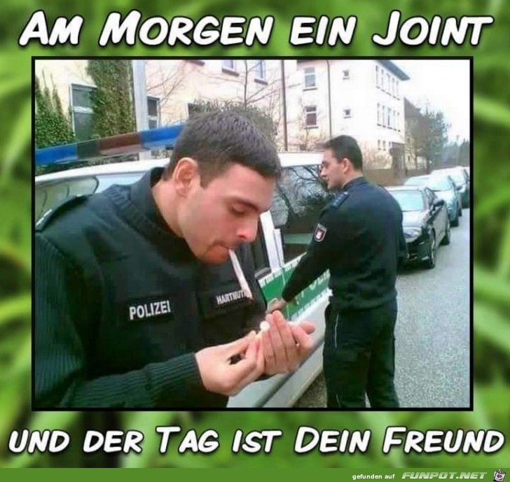 Joint Joint