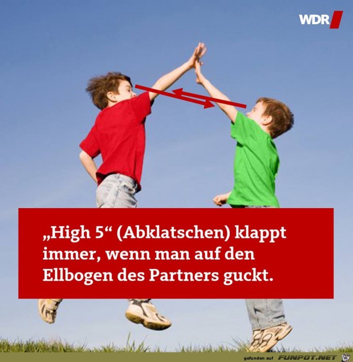 High 5 High 5