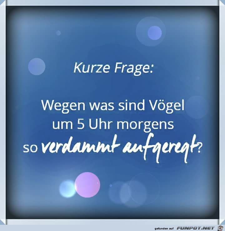 Kurze Frage Kurze Frage