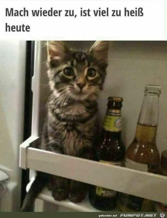 mach wieder zu.... mach wieder zu....