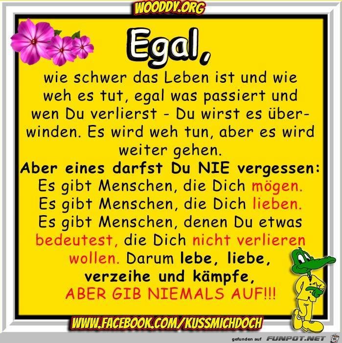 Egal Egal