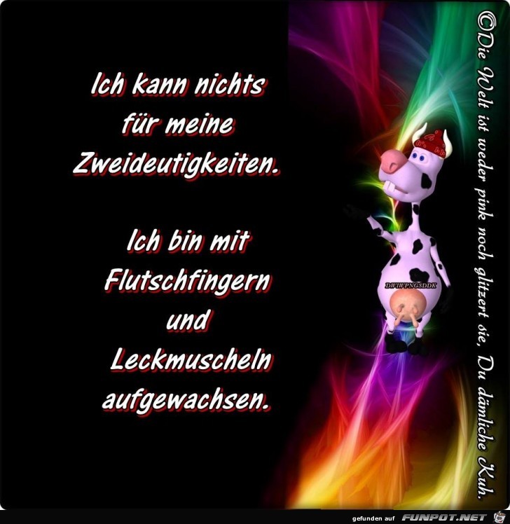 Kann nichts fuer meine Zweideutigkeit Kann nichts fuer meine Zweideutigkeit