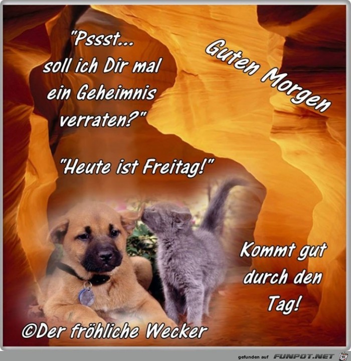 Soll ich mal was verraten Soll ich mal was verraten