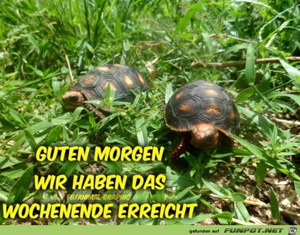 Wochenende erreicht