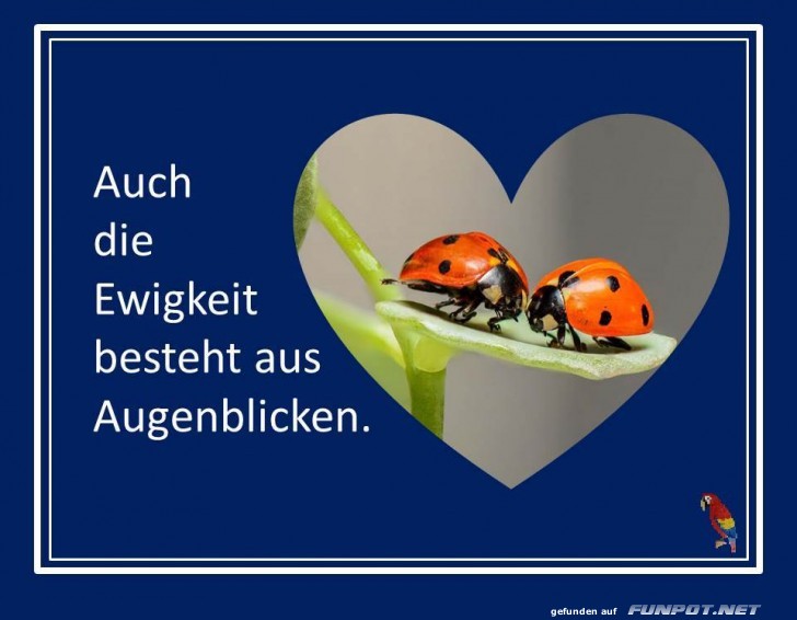Auch die Ewigkeit