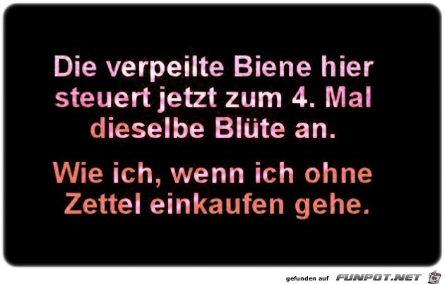 Die verpeilte Biene Die verpeilte Biene